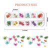 luscious glances 3d pressed dry flowers for nail art – real dried floral decorations