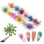 luscious glances 3d pressed dry flowers for nail art – real dried floral decorations