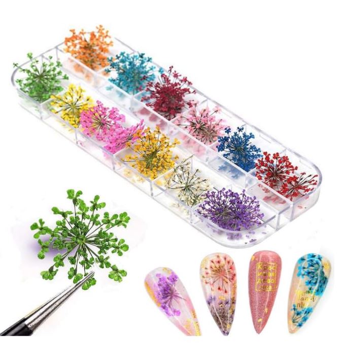 luscious glances 3d pressed dry flowers for nail art – real dried floral decorations