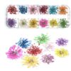 luscious glances 3d pressed dry flowers for nail art – real dried floral decorations